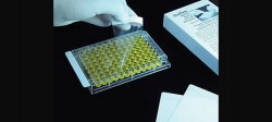 sealing_films-micro